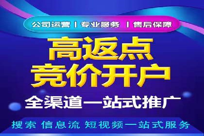 短视频平台上的信息流广告投放效果分析